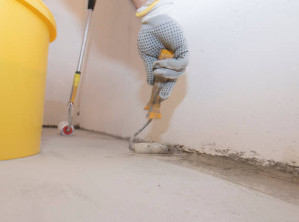 Best Fumigation Services  in San Juan Pistrano, CA